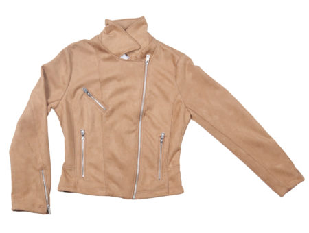FS-TERRANOVA-834152